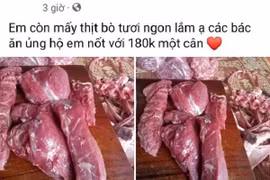 “Loạn” thực phẩm online