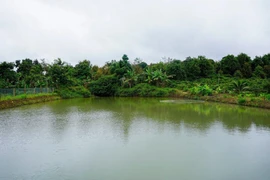 Hiểm họa từ giếng, ao, hồ trữ nước chống hạn