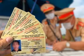 Dùng bằng lái bị trừ hết điểm để tham gia giao thông sẽ bị phạt tiền