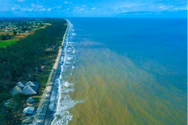 Check-in biển Ba Động cùng hàng dương xanh bất tận xứ Trà Vinh