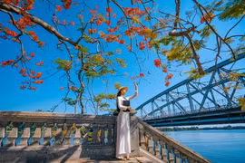 Mùa hè đến Huế, ngất ngây câu hát "Đường phượng bay..."