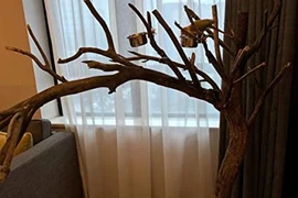 Đồ vật không nên trưng bày ở phòng khách