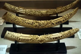 Cổ vật làm từ ngà voi tinh xảo của Việt Nam