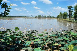 Những giả thuyết về tên gọi Đồng Tháp Mười