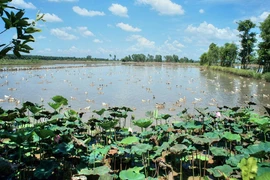 Những giả thuyết về tên gọi Đồng Tháp Mười