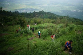 Mùa xuân leo núi Chứa Chan