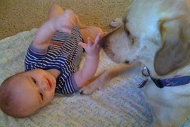 Khoảnh khắc đáng yêu bé chơi cùng cún cưng