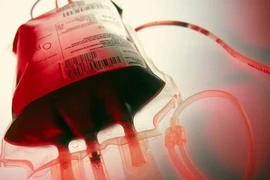 Sắp có thuốc từ máu người sống sót chữa khỏi Ebola