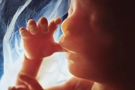 Học cách giao tiếp với bé 7 tháng trong bụng mẹ