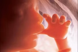 Hành động ngộ nghĩnh của bé lúc 5 tháng trong bụng mẹ