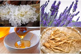 Thực phẩm trị bệnh mụn rộp vùng kín