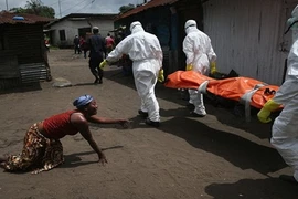 10 hình ảnh ám ảnh nhất về đại dịch Ebola 2014