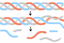 Thực hư tác dụng làm đẹp da của collagen