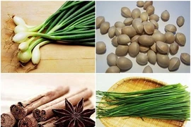 Những loại gia vị chữa bất lực, liệt dương hiệu quả