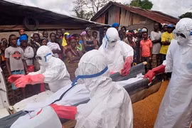 Hàng loạt bác sĩ tử vong vì nhiễm Ebola