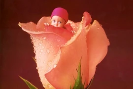 Đáng yêu bộ ảnh bé và hoa