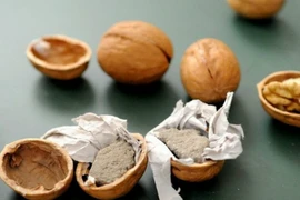 Scandal thực phẩm giả chỉ có ở Trung Quốc