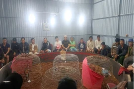 Bắt quả tang 50 đối tượng đánh bạc dưới hình thức đá gà