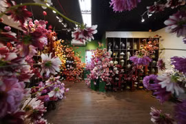 Ngắm căn phòng ngập tràn sắc hoa thược dược