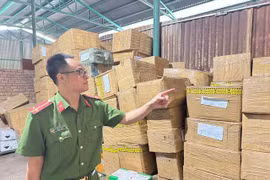 Bắt giữ 2 đối tượng buôn lậu thuốc làm chín, bảo quản sầu riêng