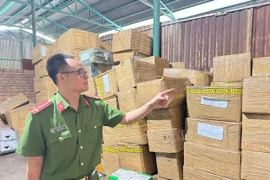 Bắt giữ 2 đối tượng buôn lậu thuốc làm chín, bảo quản sầu riêng