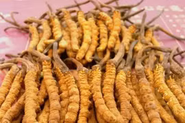 Cẩn thận khi mua 4 thứ tụt giá nhất những năm qua