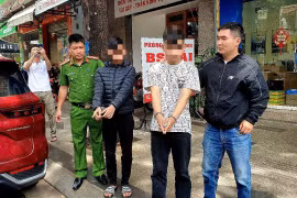 Làm rõ nhóm 5 thiếu niên chuyên trộm cắp tài sản trên ô tô