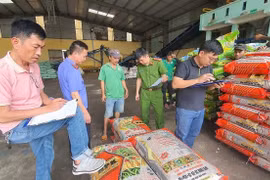 Triệt phá thành công đường dây sản xuất phân bón giả quy mô lớn