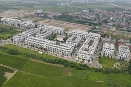 Sau tết, nhu cầu và giá bán đất nền cùng “ấm” lên