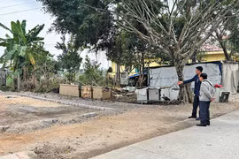 Mạnh tay xuống tiền đầu tư đất nền dịp đầu năm