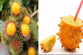 Quả lạ hot nhất mùa hè năm nay khiến chị em phát cuồng 