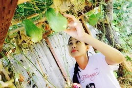 Vườn rau trái xum xuê của Dương Mỹ Linh trên đất Mỹ