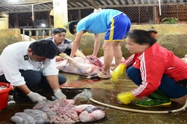 Phát hiện chất tạo nạc tại lò mổ lớn nhất Bắc Trung Bộ 