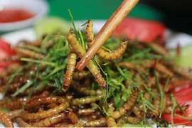 Món ăn côn trùng giá chát siêu hút khách ở Hà Nội