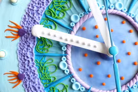 Tận mục công việc làm chiếc đồng hồ tinh xảo từ đất sét