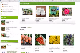 Cẩn thận với nông sản sạch rao bán tràn trên mạng