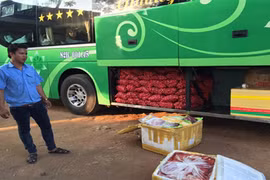 Phát hoảng hàng tạ thịt bốc mùi định tuồn vào cỗ cưới 