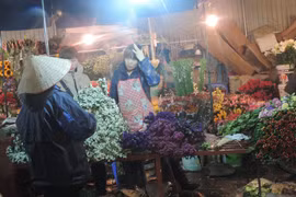 Chợ hoa Quảng Bá tấp nập trước ngày 8/3 