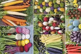 Điều ít biết về thực phẩm biến đổi gen ở Việt Nam 