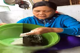 Nghi án gạo nhựa trộn lẫn gạo thật lừa người tiêu dùng