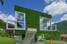 Căn nhà ấn tượng phủ kín cỏ xanh ở Áo