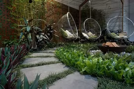 Lưu ý trong thiết kế sân vườn nhất định phải biết