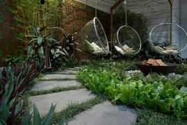 Lưu ý trong thiết kế sân vườn nhất định phải biết