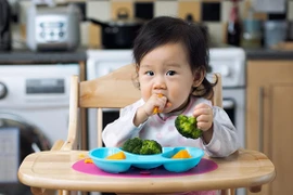Kiểm chứng thương mại hóa ăn dặm kiểu Nhật cho trẻ em Việt Nam