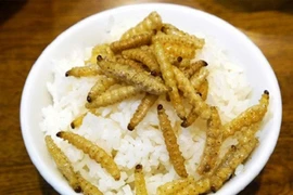 Soi giá những loài côn trùng “đẻ” triệu đô