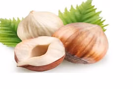 Khám phá công dụng tuyệt vời của quả hạch với sức khỏe 