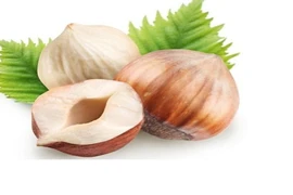 Khám phá công dụng tuyệt vời của quả hạch với sức khỏe 