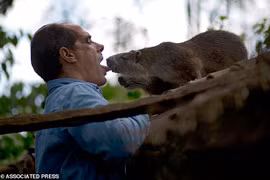 Chuột khổng lồ thích được hôn, lái xe đi chơi và uống rượu rum