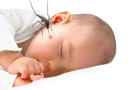 Cách xử trí khi trẻ bị côn trùng đốt