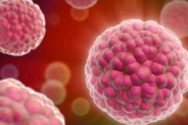 Truy nguyên nhân của các loại ung thư dễ mắc